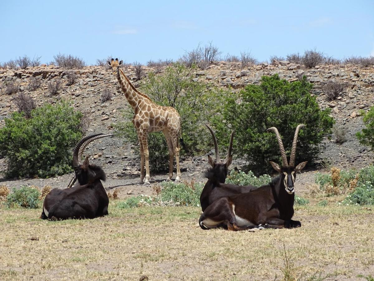 Teri-Lemveli Lodge Beaufort West Zewnętrze zdjęcie