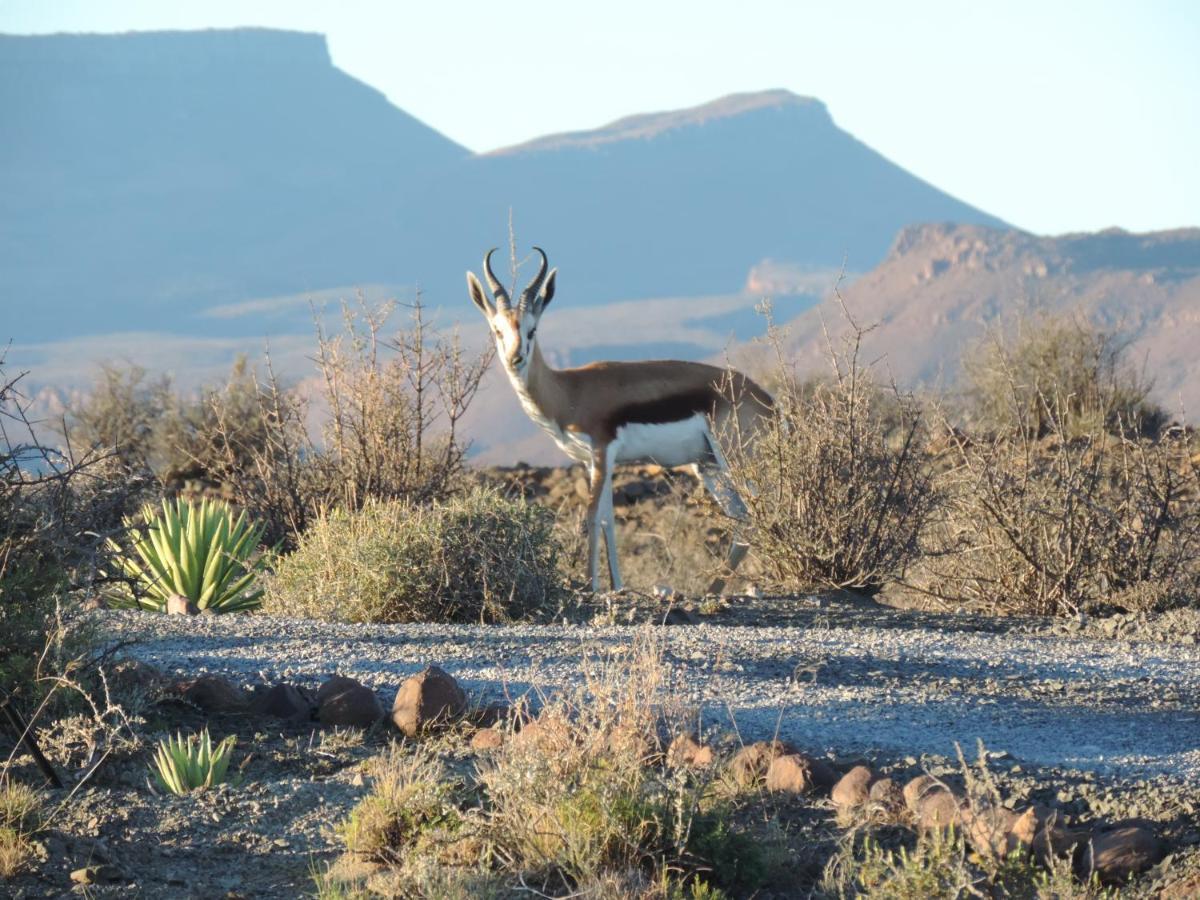 Teri-Lemveli Lodge Beaufort West Zewnętrze zdjęcie