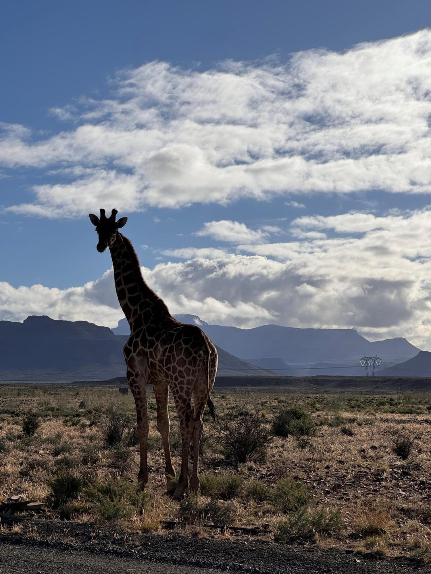 Teri-Lemveli Lodge Beaufort West Zewnętrze zdjęcie
