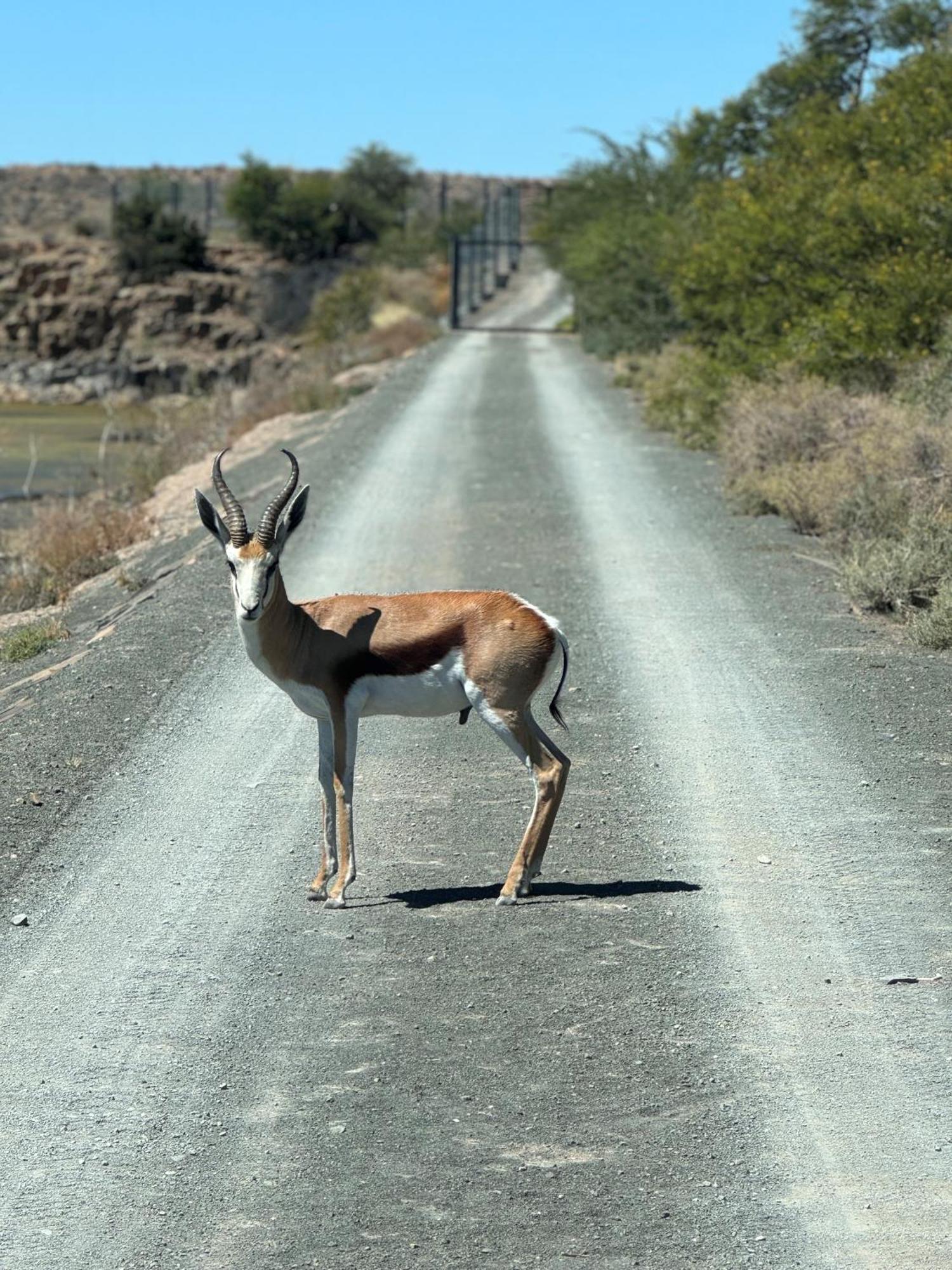 Teri-Lemveli Lodge Beaufort West Zewnętrze zdjęcie