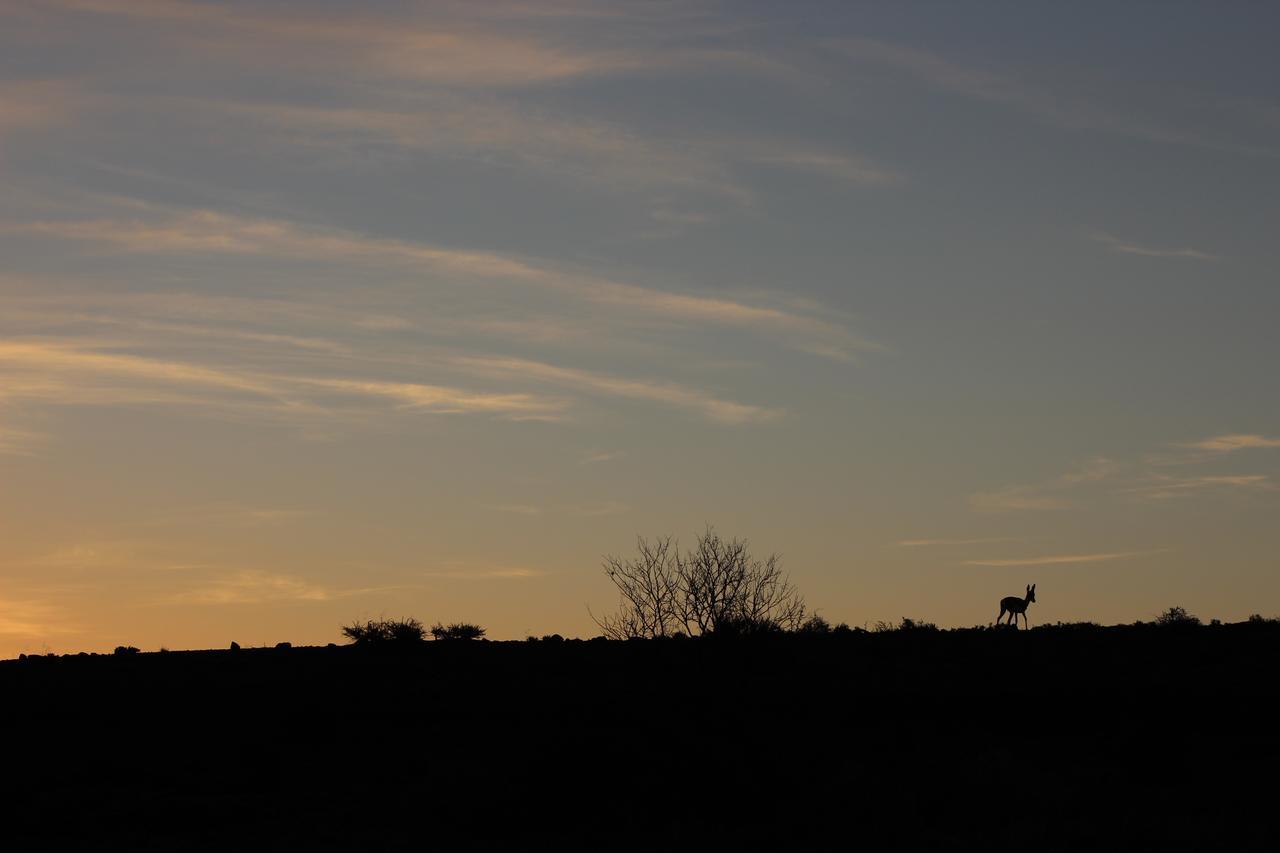 Teri-Lemveli Lodge Beaufort West Zewnętrze zdjęcie