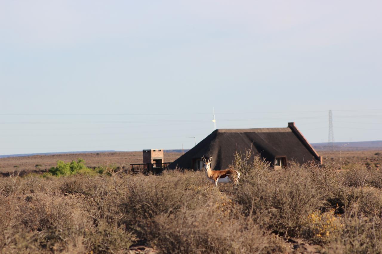 Teri-Lemveli Lodge Beaufort West Zewnętrze zdjęcie
