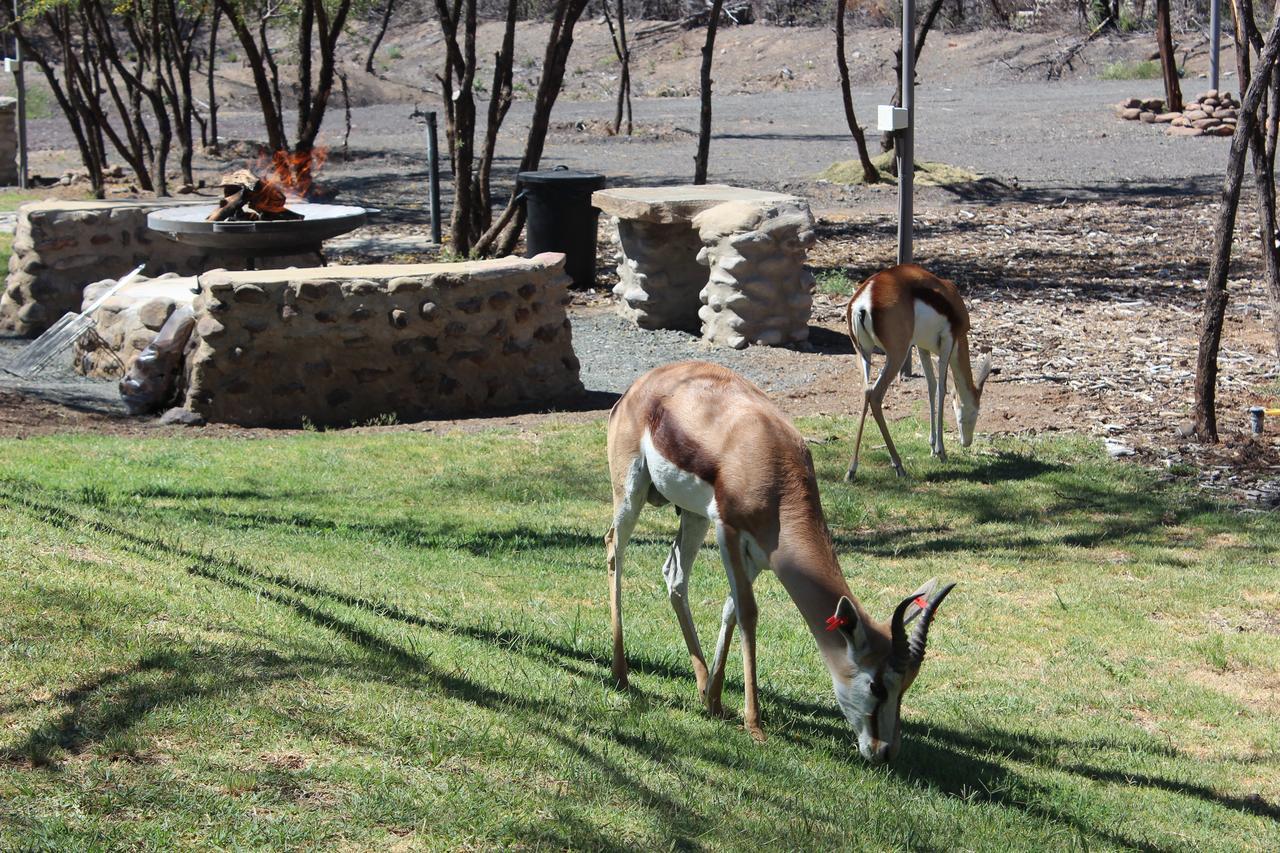 Teri-Lemveli Lodge Beaufort West Zewnętrze zdjęcie